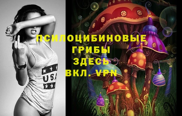 амф Семилуки