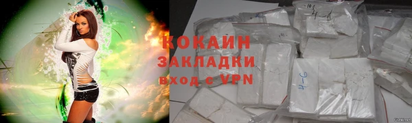 сатива Арсеньев