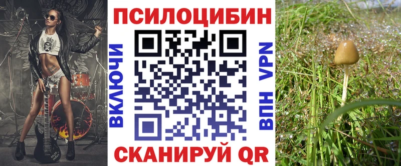 MEGA маркетплейс  как найти наркотики  Сольцы  Псилоцибиновые грибы Cubensis 